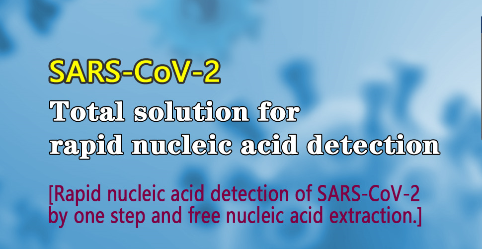 Test Kit for Coronavirus: SARS-CoV-2 Nucleic Acid Detection Kit (Rapid PCR Fluorescence Method)