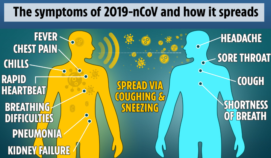 Coronavirus Symptoms (COVID-19)