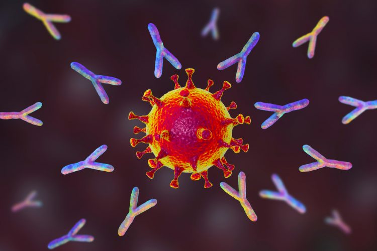 Coronavirus: Antibody Is not Immunity from Reinfection